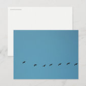 Vögel im Flugformations-Strandfotografie Postkarte (Vorne/Hinten)