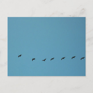 Vögel im Flugformations-Strandfotografie Postkarte
