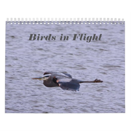 Vögel im Flugkalender Kalender (Titelbild)