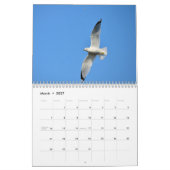 Vögel im Flugkalender Kalender (Mär 2027)