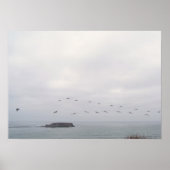 Vögel im Flugplakat Poster (Vorne)