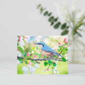 Vogel im Frühjahr nach Karte (Stehend Vorderseite)
