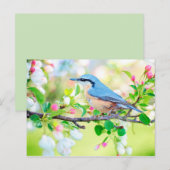 Vogel im Frühjahr nach Karte (Vorne/Hinten)