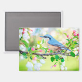 Vogel im Frühling Magnet (Vorderseite/Rückseite)
