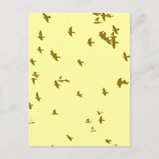 Vögel im Himmel Postkarte (Vorderseite)