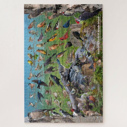 Vögel im Hinterhof der Insel Rhode Puzzle (Vertikal)