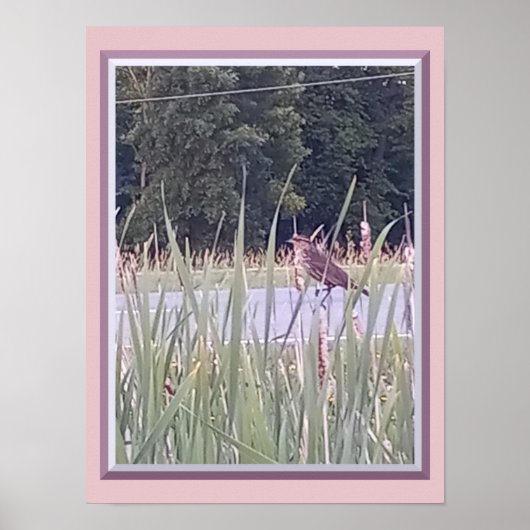Vogel im hohen Gras Poster (Vorne)