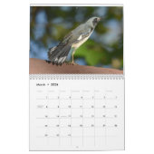 Vögel im Hudson-Tal Kalender (Mär 2026)