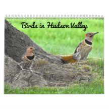 Vögel im Hudson-Tal