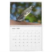 Vögel im Hudson-Tal Kalender (Mär 2027)