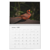 Vögel im Hudson-Tal Kalender (Jan 2027)