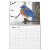 Vögel im Hudson-Tal Kalender (Feb 2027)