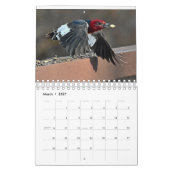 Vogel im Hudson-Tal Kalender (Mär 2027)