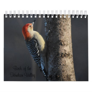 Vogel im Hudson-Tal Kalender