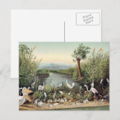 Vögel im Kaukasus Postkarte (Vorne/Hinten)