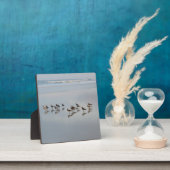 Vögel im Meer Wellen Natur Wildtiere Fotoplatte (InSitu)