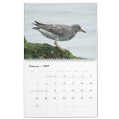 Vögel im Nordamerika-Kalender Kalender (Feb 2027)