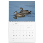 Vögel im Nordamerika-Kalender Kalender (Jan 2027)