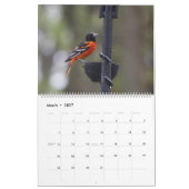 Vögel im Nordamerika-Kalender Kalender (Mär 2027)