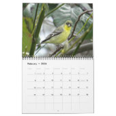 Vögel im Nordamerika-Kalender Kalender (Feb 2026)