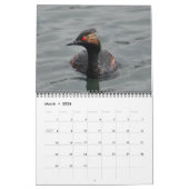 Vögel im Nordamerika-Kalender Kalender (Mär 2026)