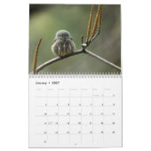 Vögel im Nordindischen Kalender (Jan 2027)