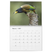 Vögel im Nordindischen Kalender (Feb 2027)