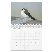 Vögel im Nordwesten Kalender (Mär 2027)