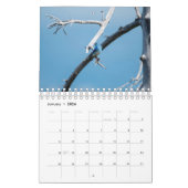 Vögel im Nordwesten Kalender (Jan 2026)