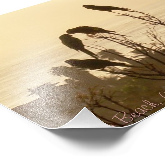 Vögel im Paradies Fotodruck (Ecke)