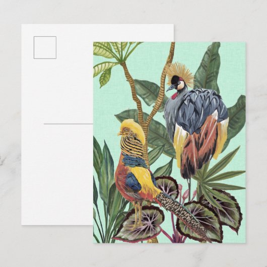 Vögel im Paradies - Große Vögel Postkarte (Vorne/Hinten)