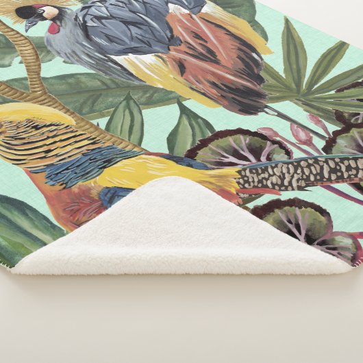 Vögel im Paradies - Große Vögel Sherpadecke (3/4)