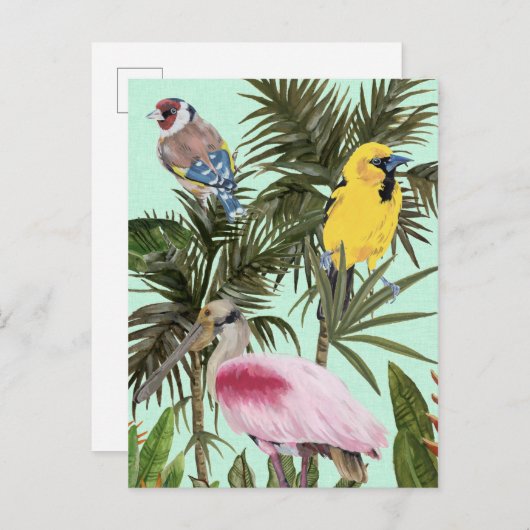 Vögel im Paradies Postkarte (Vorne/Hinten)