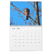 Vögel im Prey-Kalender Kalender (Mär 2026)