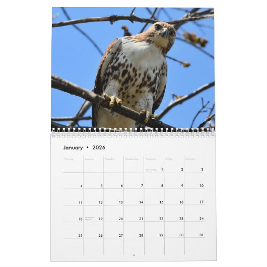 Vögel im Prey-Kalender Kalender (Jan 2026)