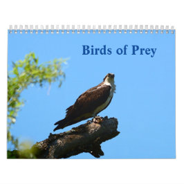 Vögel im Prey-Kalender Kalender