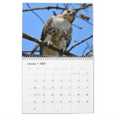Vögel im Prey-Kalender Kalender (Jan 2027)