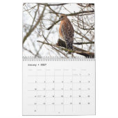 Vögel im Prey-Kalender Kalender (Jan 2027)