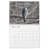 Vögel im Prey-Kalender Kalender (Feb 2027)