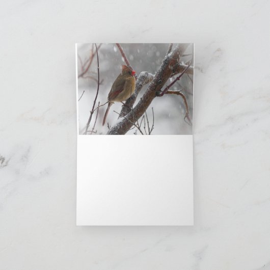 Vögel im Schnee Karte (Innenseite)