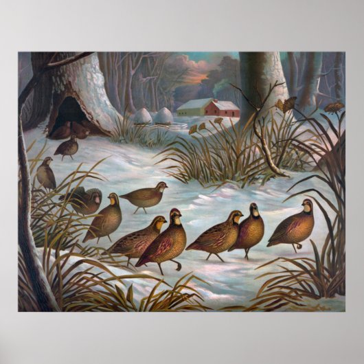 Vögel im Schnee Poster (Vorne)