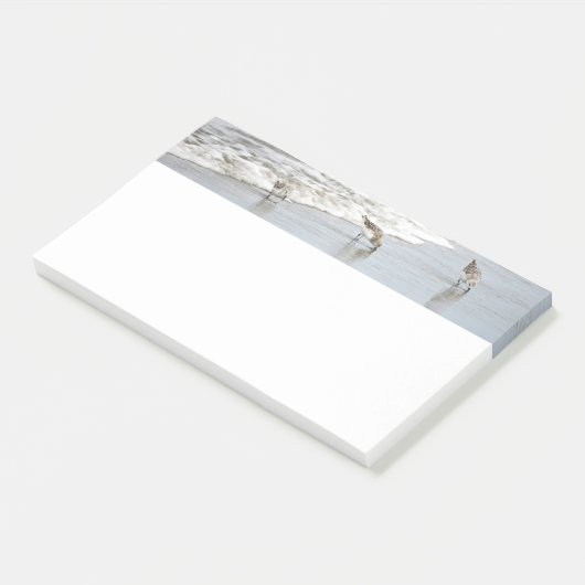 Vögel im Surf 10x6 Hinweise Post-it Klebezettel (angewinkelt)