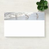 Vögel im Surf 10x6 Hinweise Post-it Klebezettel (Büro)