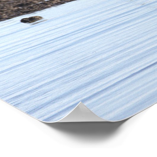 Vögel im Wasserplakat Poster (Ecke)