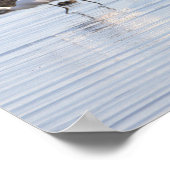 Vögel im Wasserplakat Poster (Ecke)