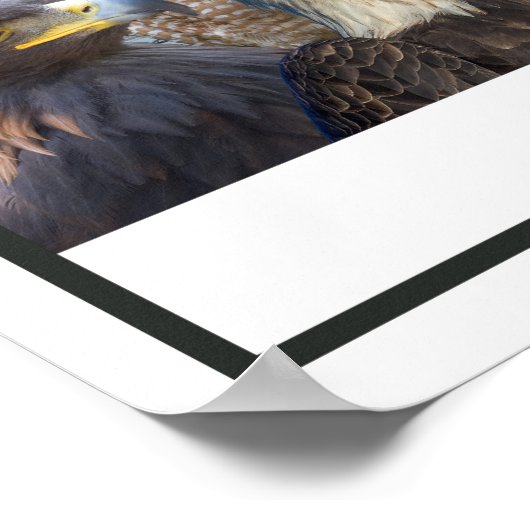 Vögel im Westen Poster (Ecke)