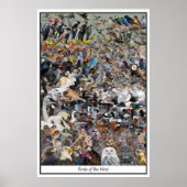 Vögel im Westen Poster (Vorne)