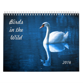Vögel im wilden kalender