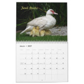 Vögel im wilden kalender (Mär 2027)