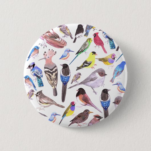 Vögel in Amerika - Heimtiere und wild lebende Vöge Button (Vorderseite)